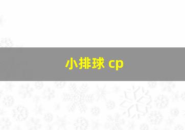 小排球 cp